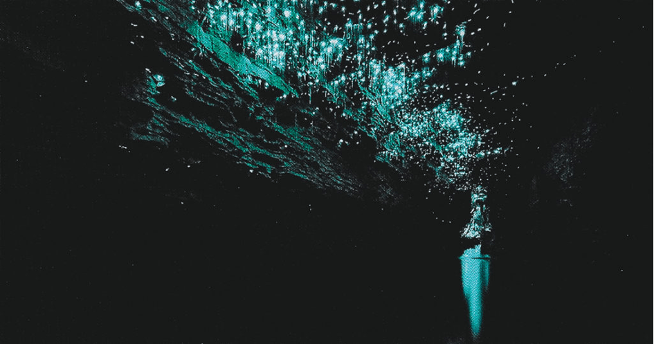 Waitomo Cave