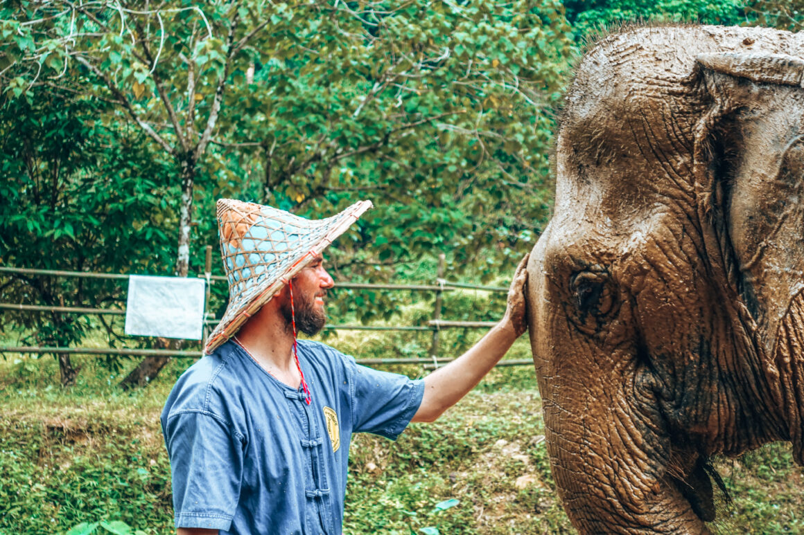 Elephant Care Park in Phang-Nag