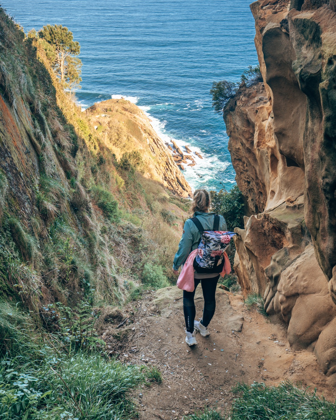 Camino del Norte