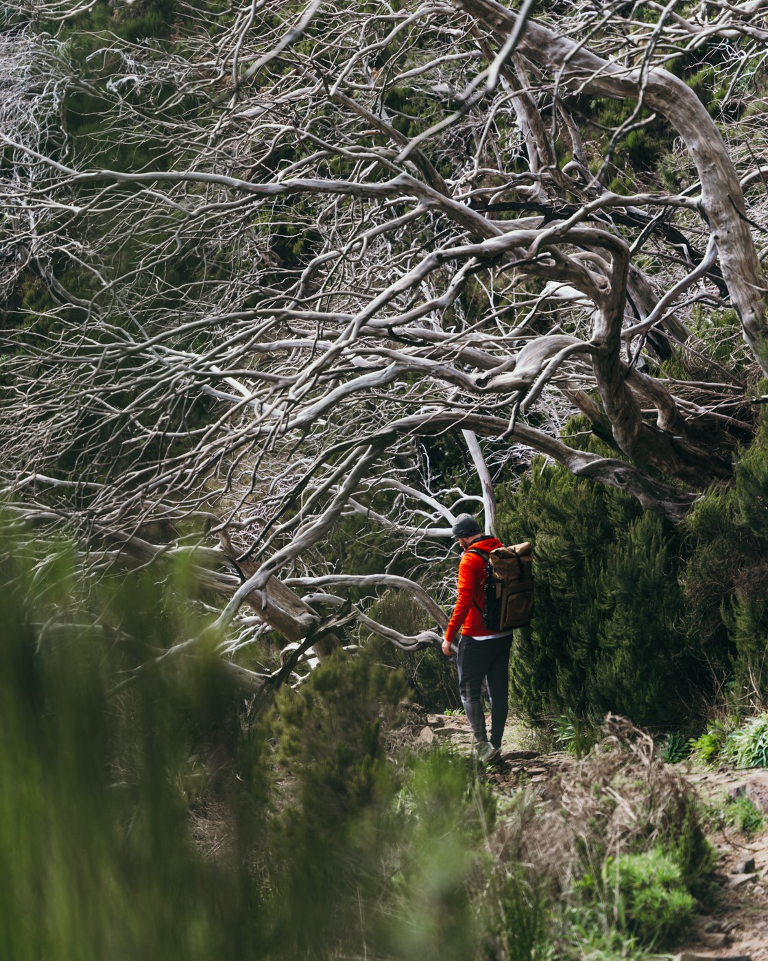 Pico do Arieiro Wanderung