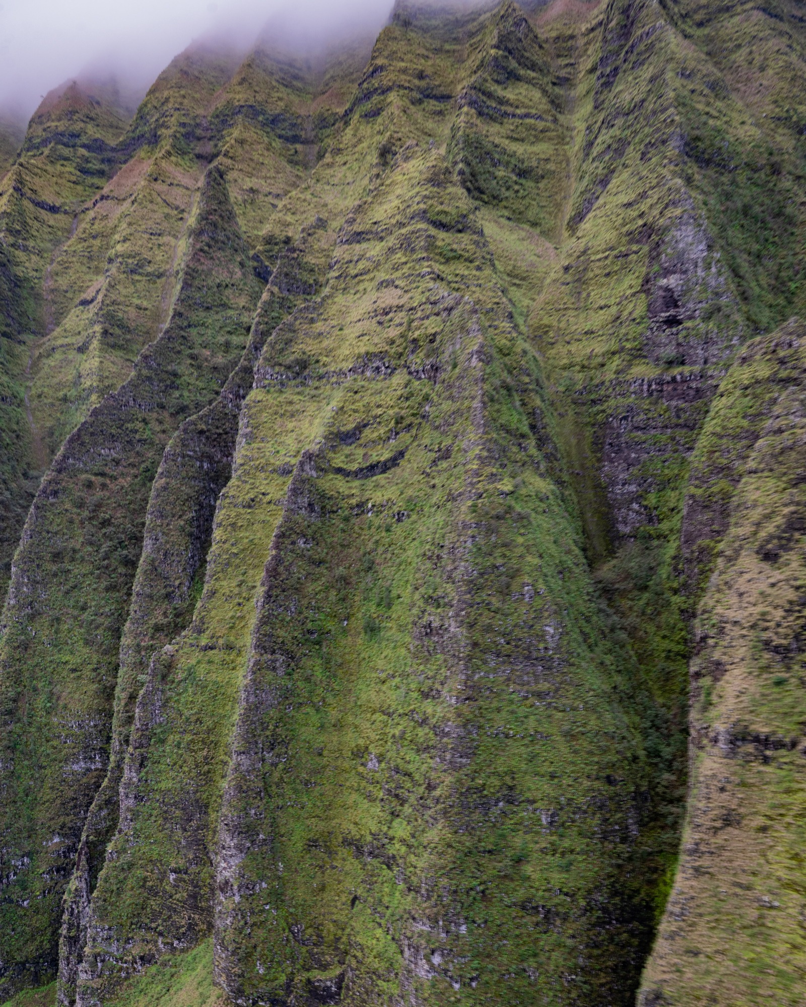 Open-Doors Heli Flug auf Kauai